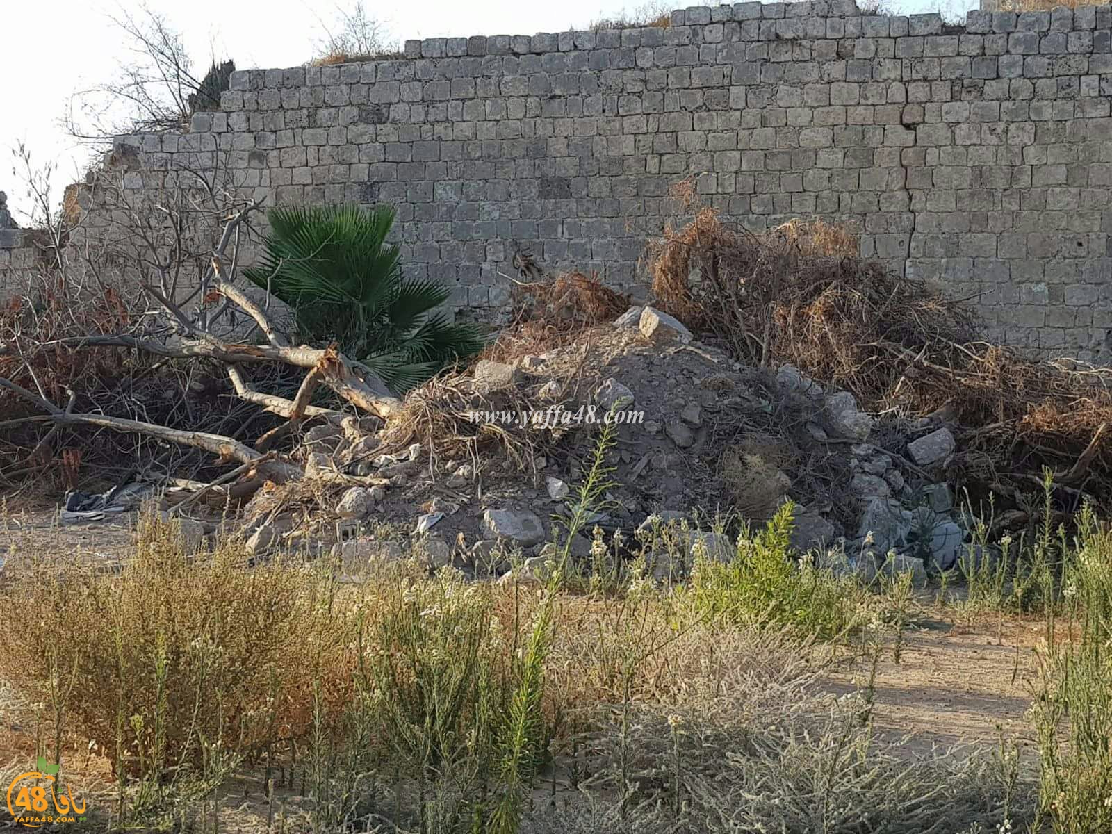 ramla maqbaraja (8).jpg